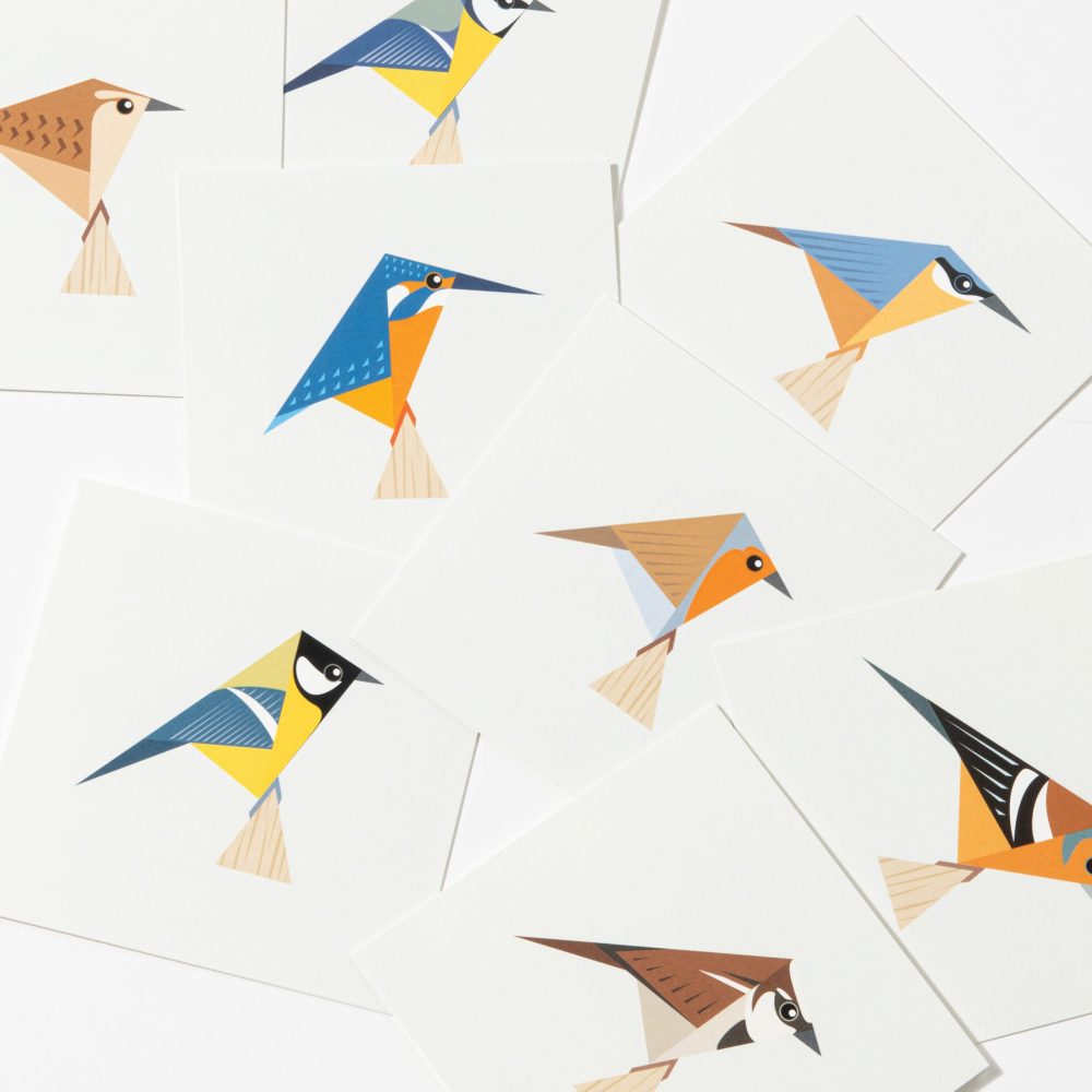 Kaartenset vogels - Afbeelding 2