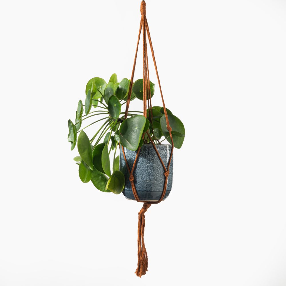 Macramé plantenhanger bruin