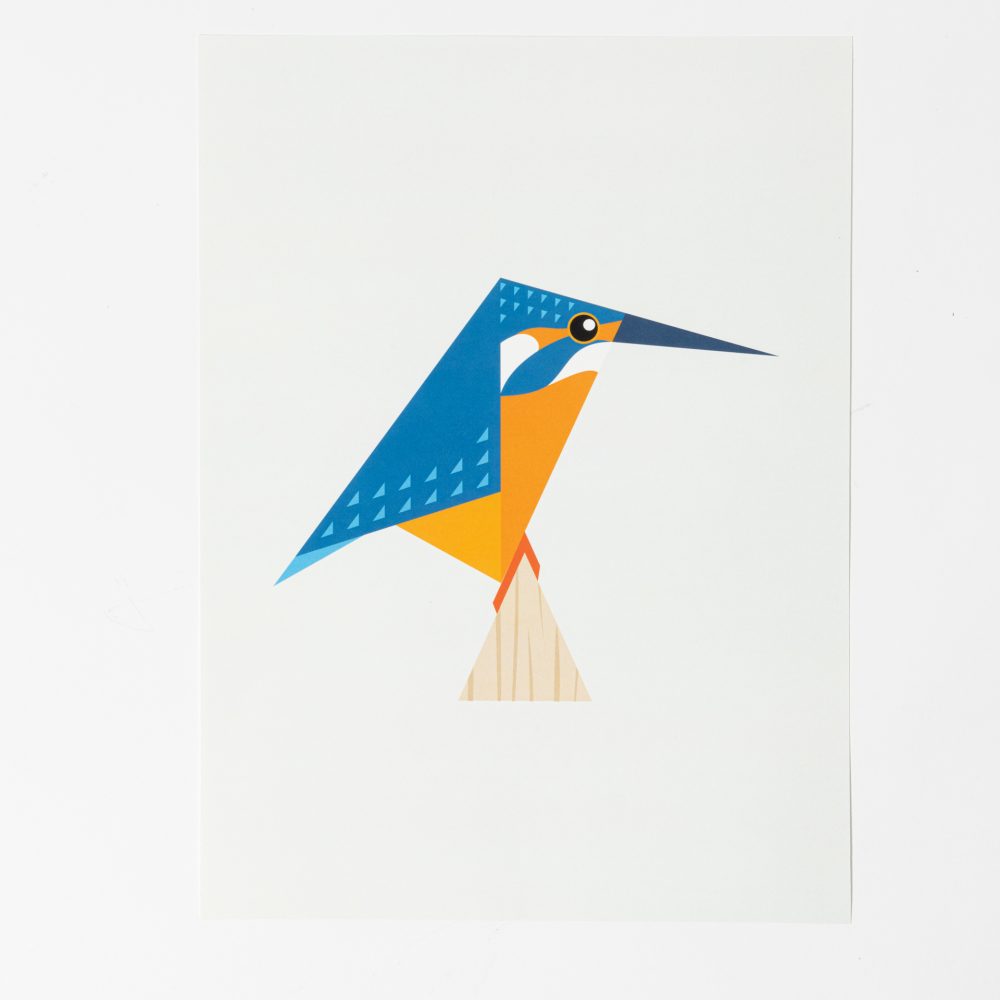 muurposter vogel - Afbeelding 5